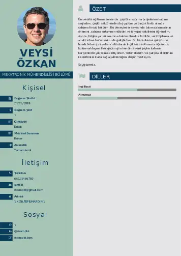 Mekatronik Mühendisliği Cv Örnekleri cv indir